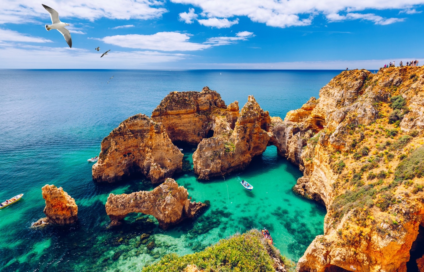 Explorar a Costa do Algarve de Barco: O Que a Torna Única